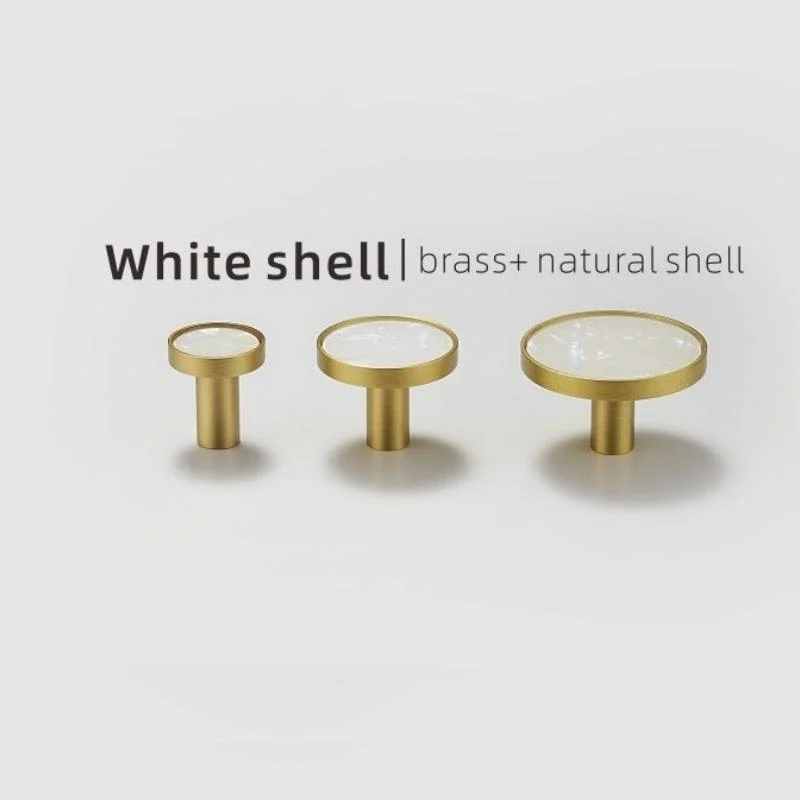 Homeko Shell & Brass Wall Hooks Decorative -