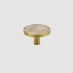 Homeko Shell Brass Wall Hooks Decorative