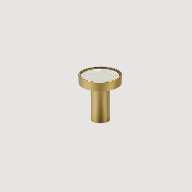 Homeko Shell & Brass Wall Hooks Decorative -