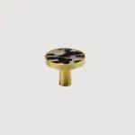 Homeko Shell Brass Wall Hooks Decorative