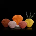 Homeko_Shell_Vase_-_-4279271 Homeko Shell Vase