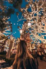 Homeko Solar Powered String Lights
