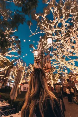 Homeko Solar Powered String Lights