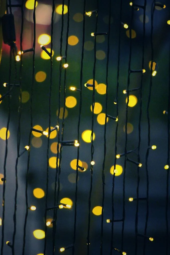 Homeko Solar Powered String Lights -