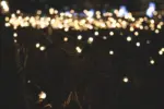 Homeko Solar Powered String Lights