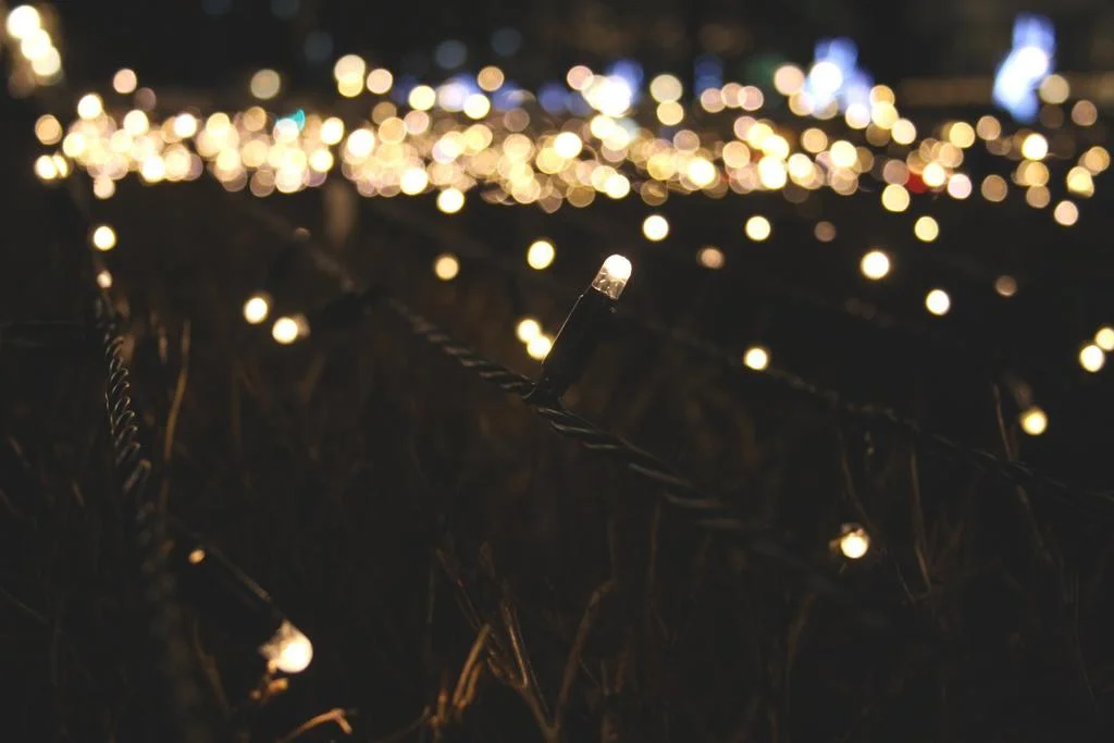 Homeko Solar Powered String Lights -