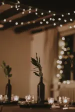 Homeko Solar Powered String Lights