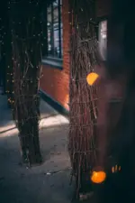 Homeko Solar Powered String Lights