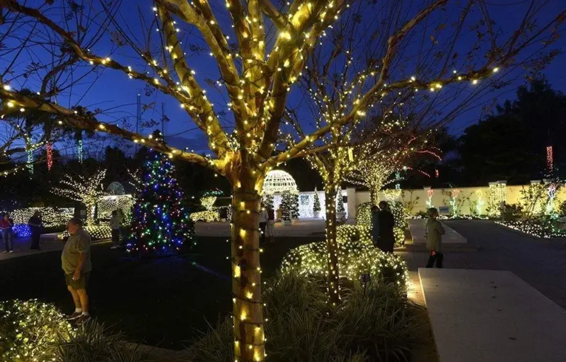 Homeko Solar Powered String Lights