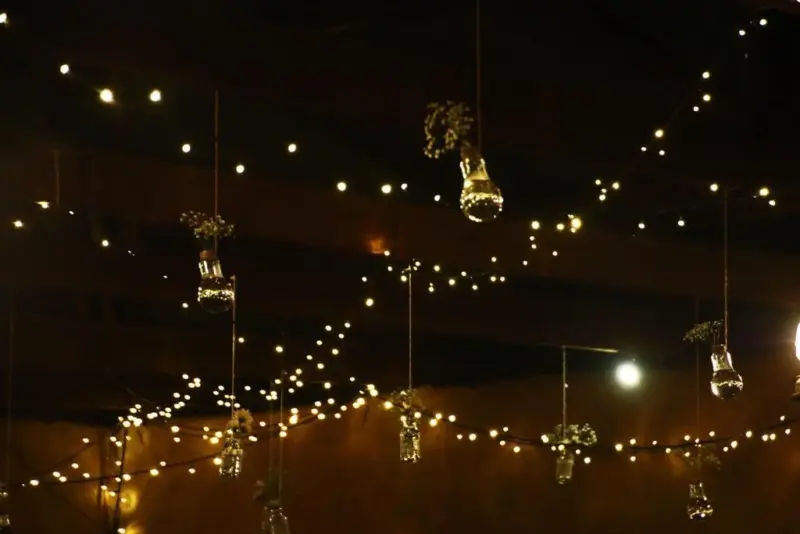 Homeko Solar Powered String Lights