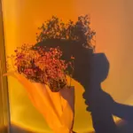 Homeko Sunset Projector Lamp