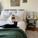 Homeko The Ghost Pumpkin Pillow