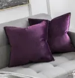 Homeko Velvet Pillow Covers