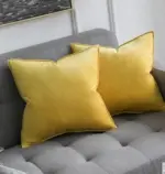Homeko Velvet Pillow Covers