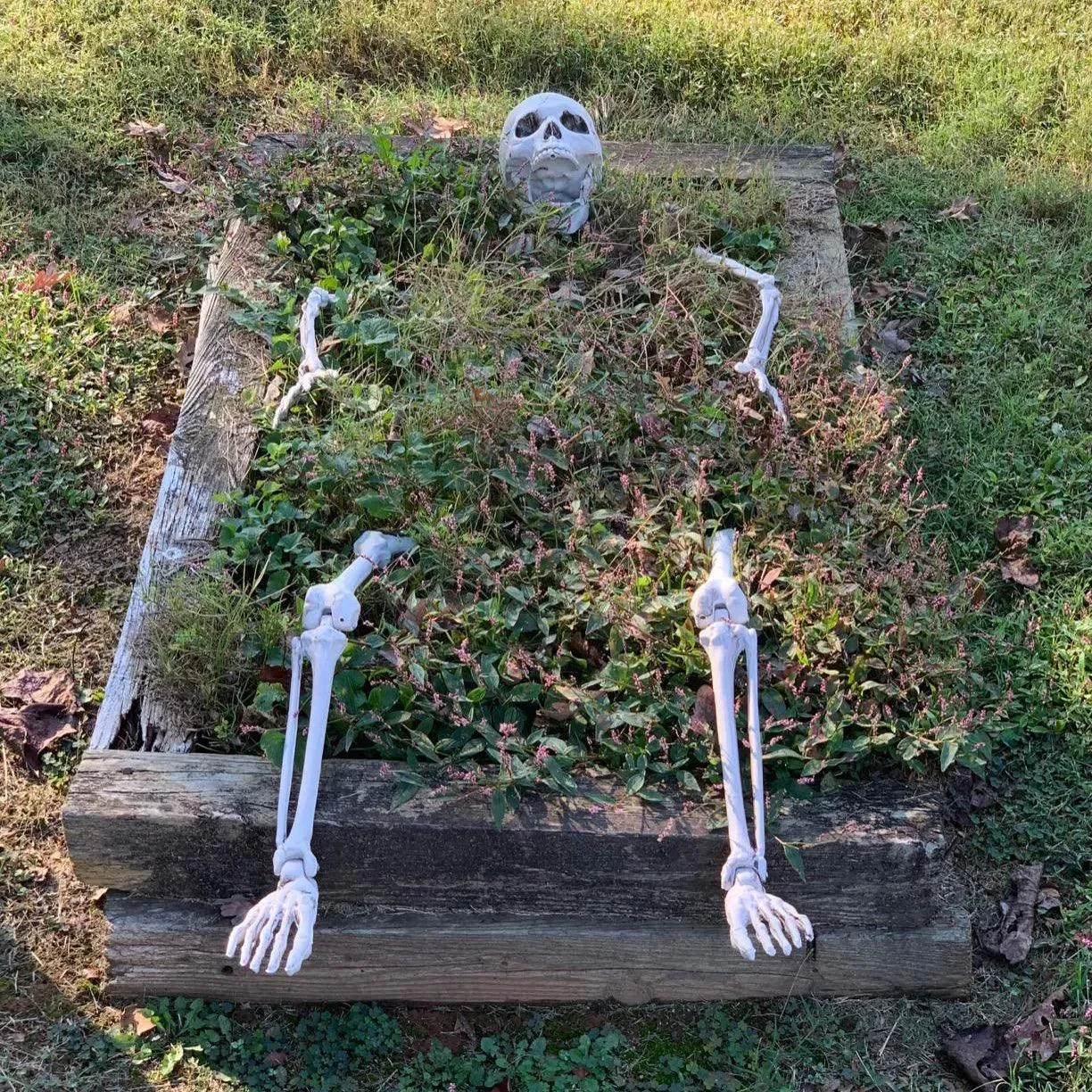 Homeko Very Scary Halloween Lawn Skeleton -