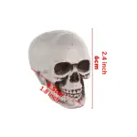 Homeko Very Scary Halloween Skull