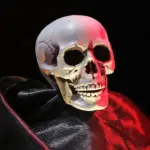 Homeko Very Scary Halloween Skull