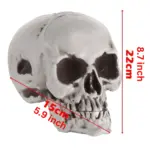 Homeko Very Scary Halloween Skull