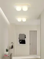 Homeko Wall Ceiling Lamp