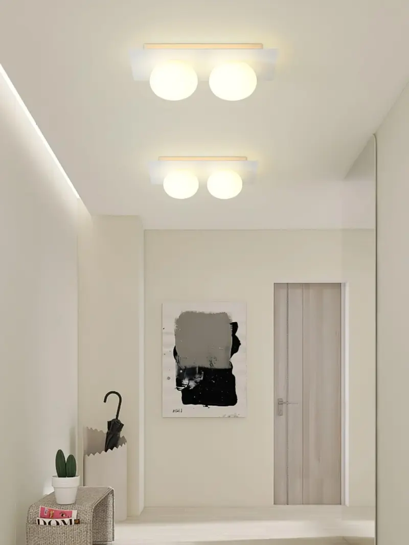 Homeko Wall Ceiling Lamp