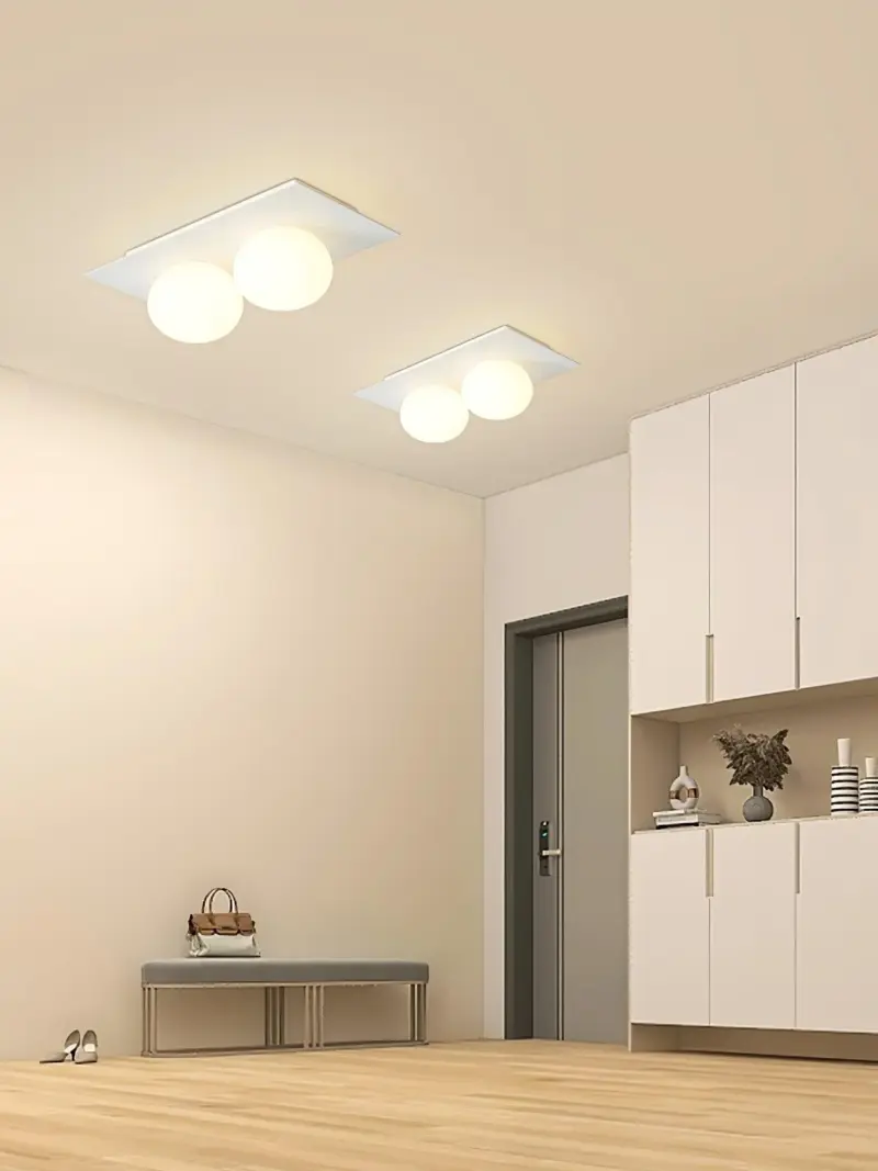 Homeko Wall Ceiling Lamp