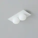 Homeko Wall Ceiling Lamp
