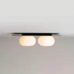 Homeko Wall Ceiling Lamp