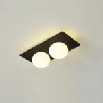 Homeko Wall Ceiling Lamp