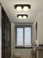 Homeko Wall Ceiling Lamp