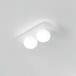 Homeko Wall Ceiling Lamp