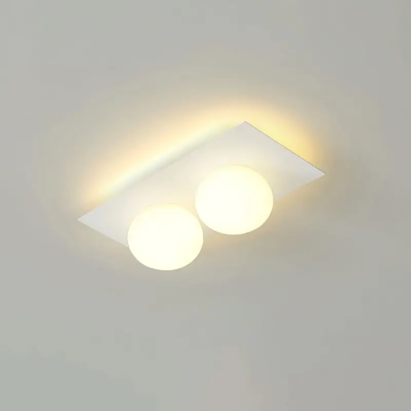 Homeko Wall Ceiling Lamp