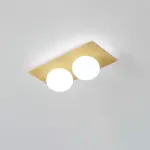 Homeko Wall Ceiling Lamp