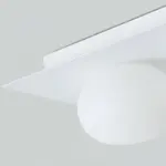Homeko Wall Ceiling Lamp