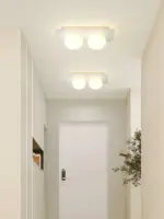 Homeko Wall Ceiling Lamp