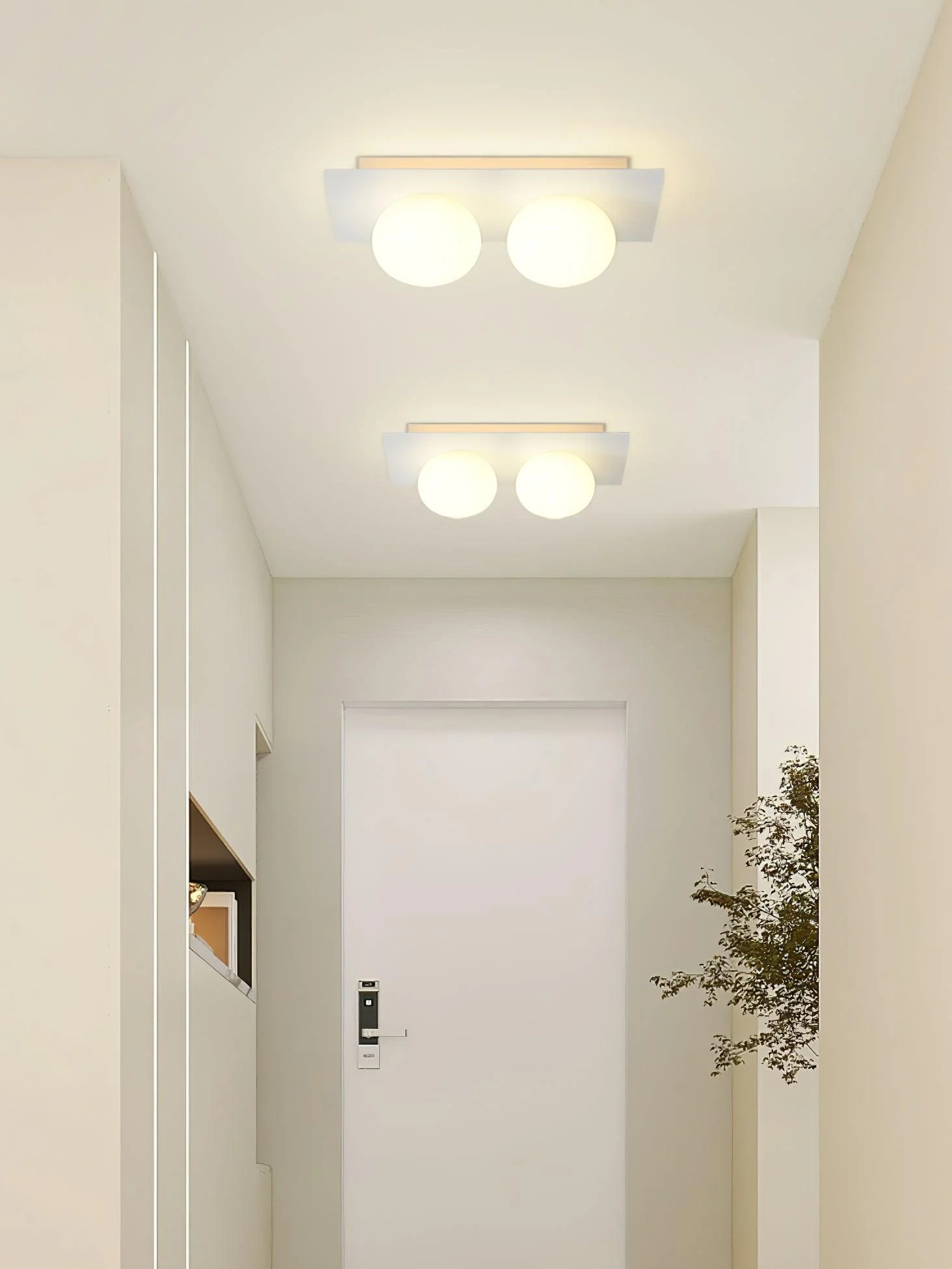 Homeko Wall/Ceiling Lamp -