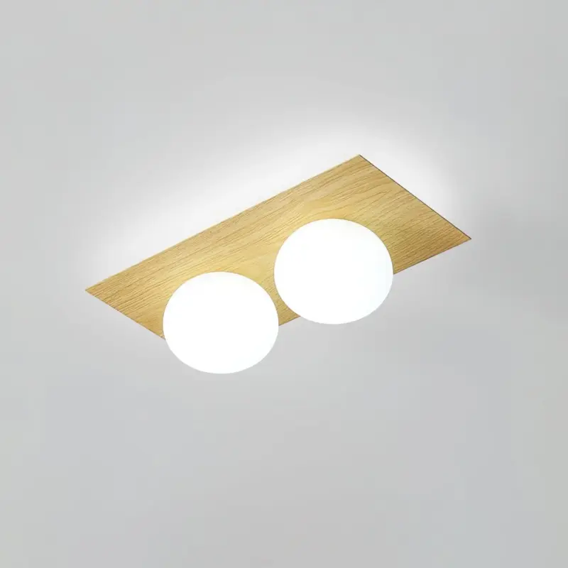Homeko Wall Ceiling Lamp