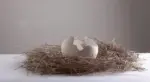 Homeko_White_Cracked_Egg_Vases_-_-4291665 Homeko White Cracked Egg Vases