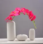 Homeko in White Vase