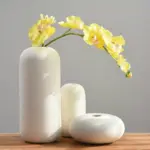 Homeko in White Vase