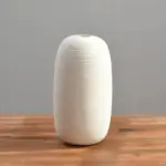 Homeko in White Vase