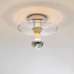 HomoraCircRipple10