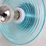 HomoraCircRipple20
