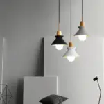 HomoraDomeLED13 HomoraDomeLED13