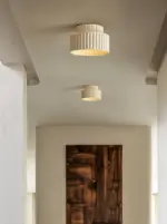 HomoraEcoRibbed1