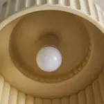 HomoraEcoRibbed14