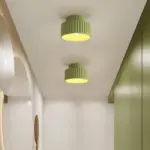 HomoraEcoRibbed6