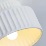HomoraEcoRibbed7