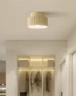 HomoraEcoRibbed8