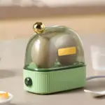 HomoraEggspert10 HomoraEggspert10
