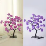 HomoraFairyRose2